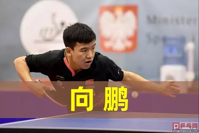 维尔茨的速