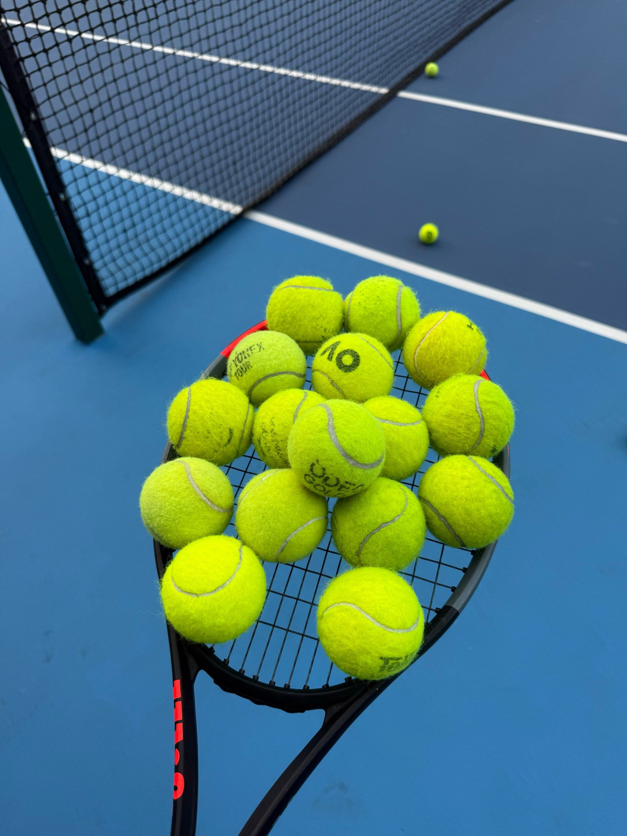 了新的基础 了新的基础